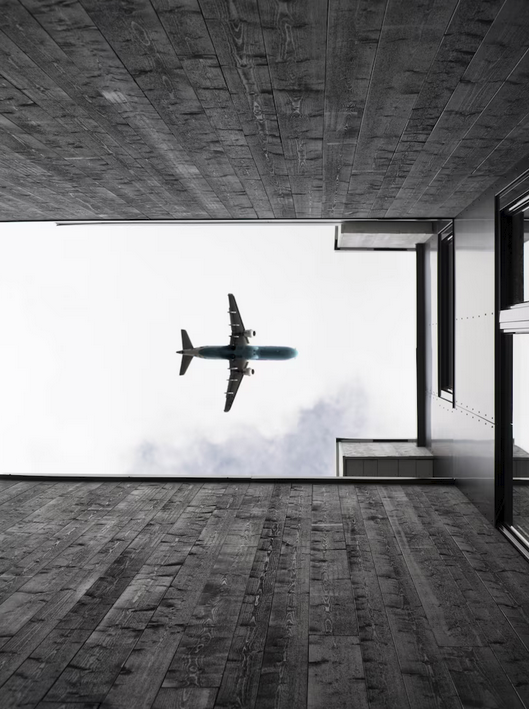 Aircraft and air freight